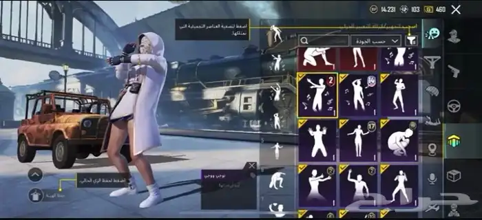 حساب ببجي للبيع 13