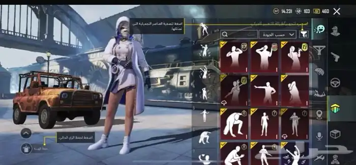 حساب ببجي للبيع 15