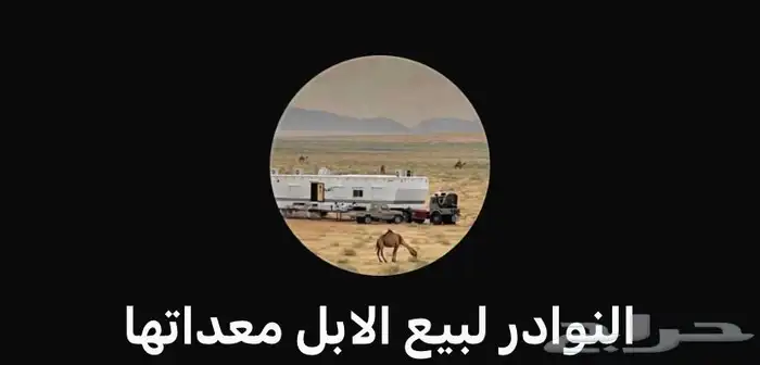 السلام عليكم حياكم الله قروب الإبل و الغنم و المعدات 0