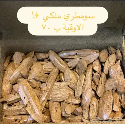 عرض اليوم الوطني index