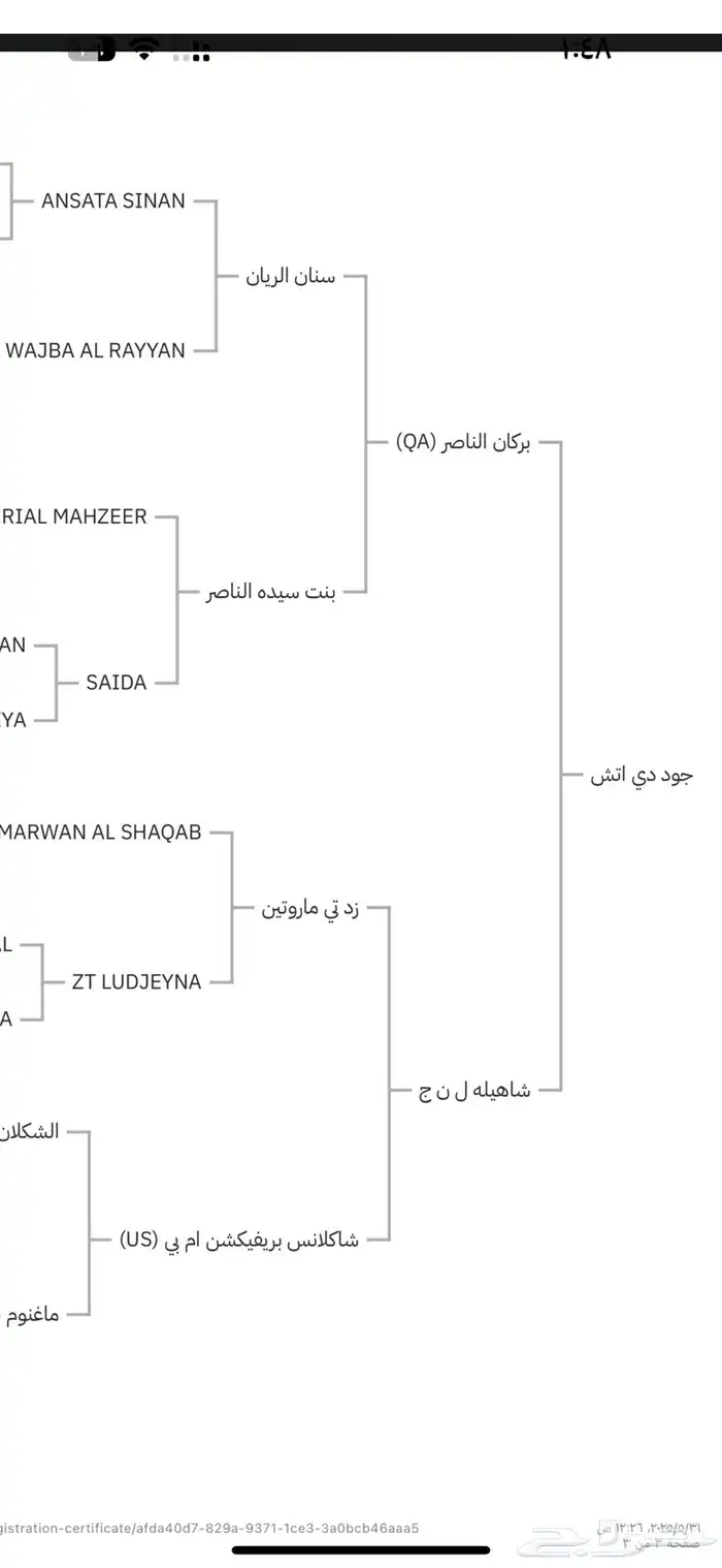 مهرة مكس للبيع 2