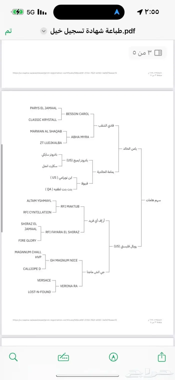 حصان واهو شيييخ ودم قوي 3
