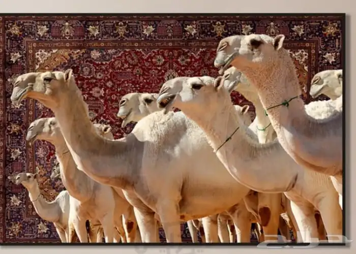 لوحات جدارية بتصاميم جميلة 7