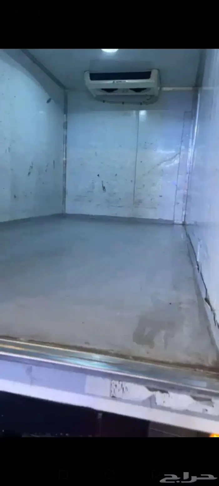 دينا ايسوز 0