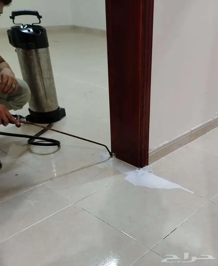 مكافحة حشرات بمكه شركة مكافحة حشرات بمكة 1