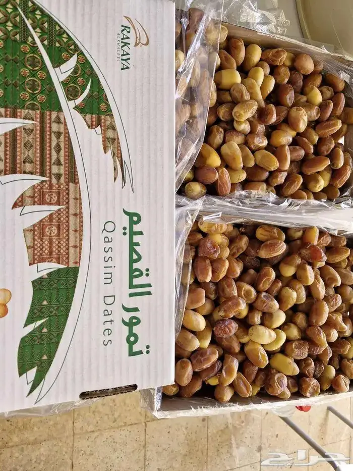 سكري وخلاص ورشودي وشقرى الجبيل 9