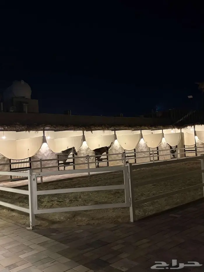 مربط في العمارية 2
