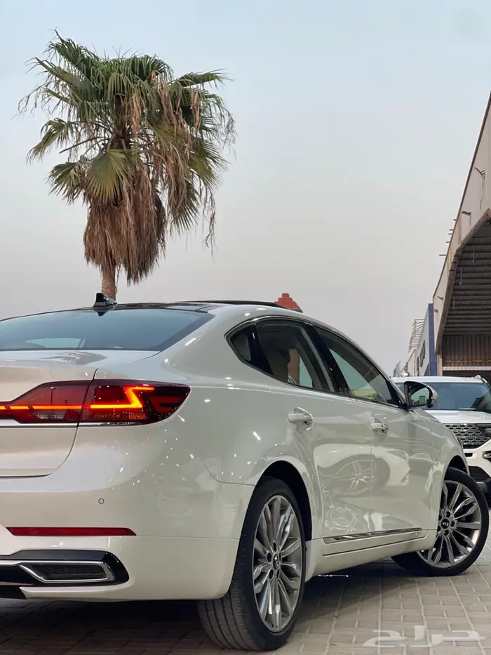 كدينزا بانوراما أعلى فئة 2020 9