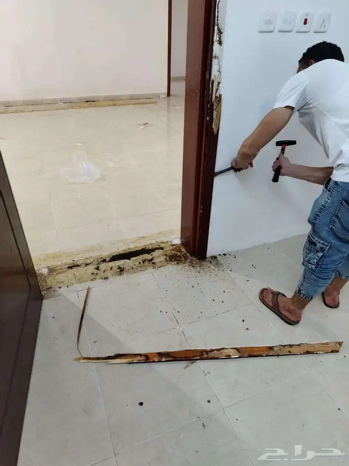 مكافحة حشرات بمكه شركة مكافحة حشرات بمكة 6