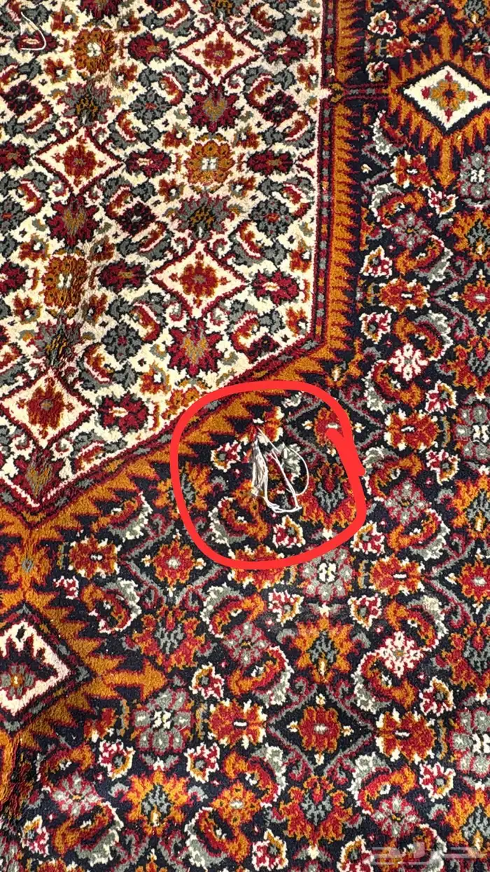 سجاده بلجيكي 6