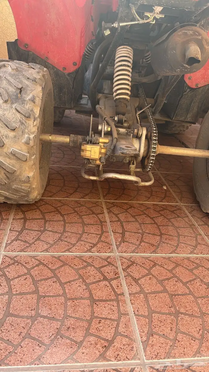 دباب تايلندي 1
