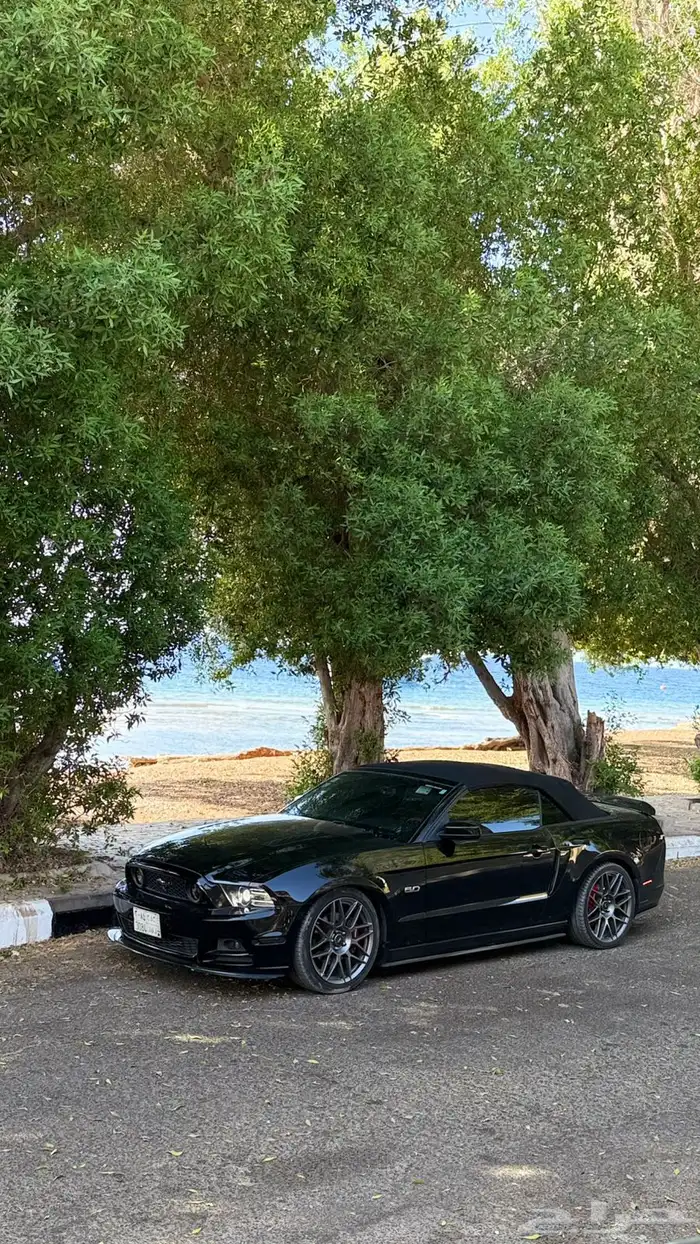 موستنق الموديل 2013 0