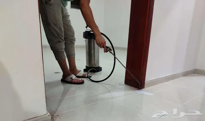 مكافحة حشرات بمكه شركة مكافحة حشرات بمكة 7