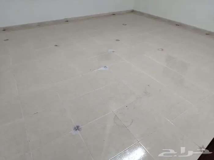 مكافحة حشرات بمكه شركة مكافحة حشرات بمكة 3