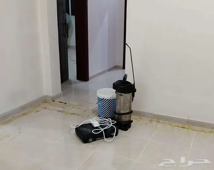 مكافحة حشرات بمكه شركة مكافحة حشرات بمكة 0