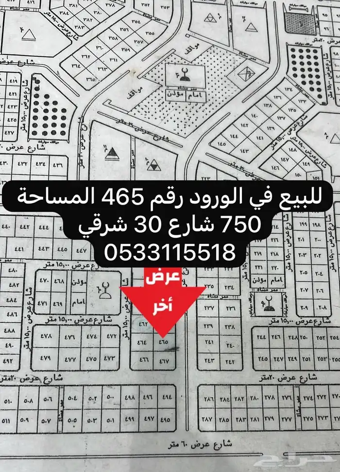 رنية 0