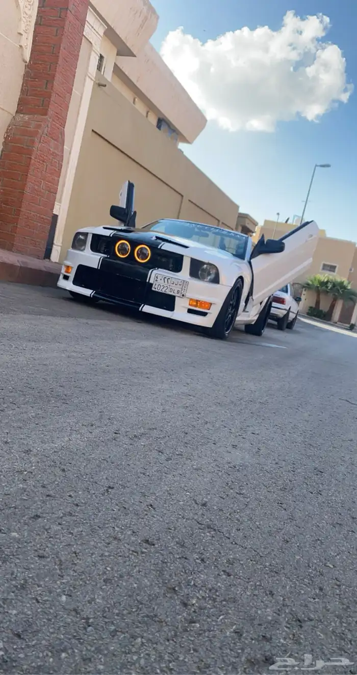 موستنق للبيع موديل 2006 5