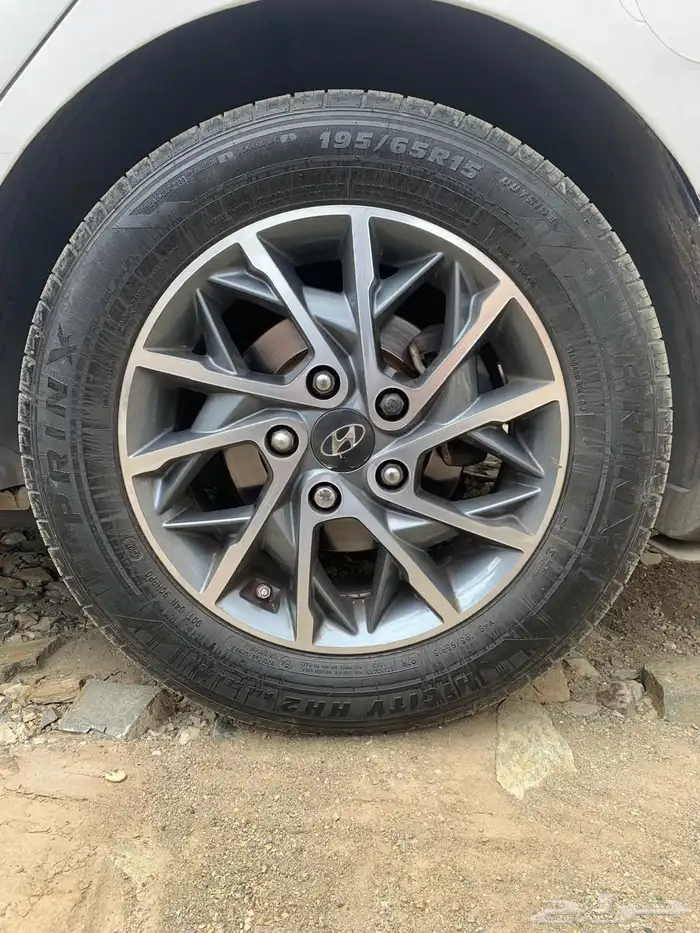 جنوط انترا للبيع 2