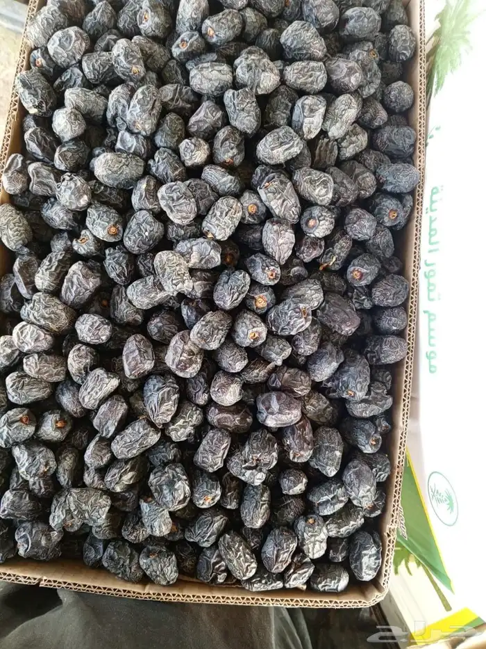 عجوى 1