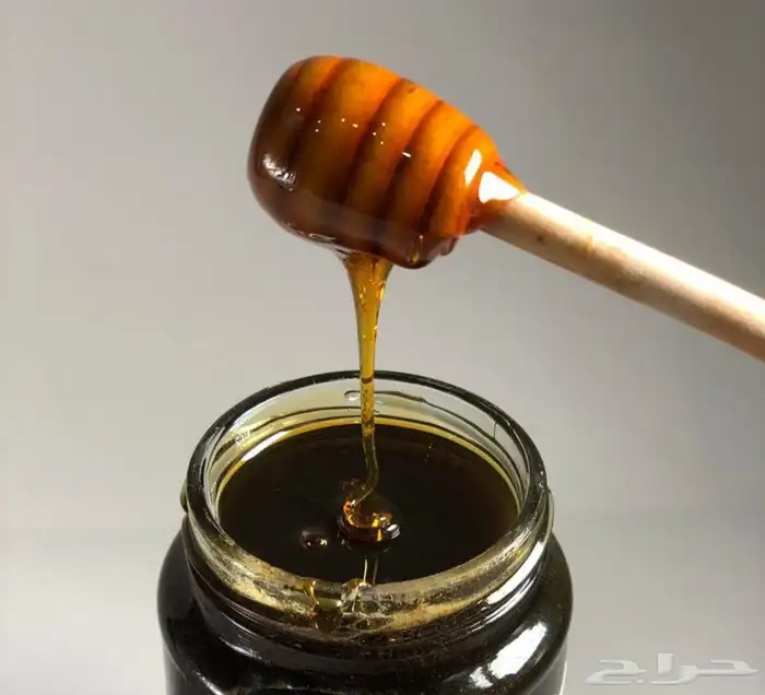 عسل طلح حايل من مناحلنا 0