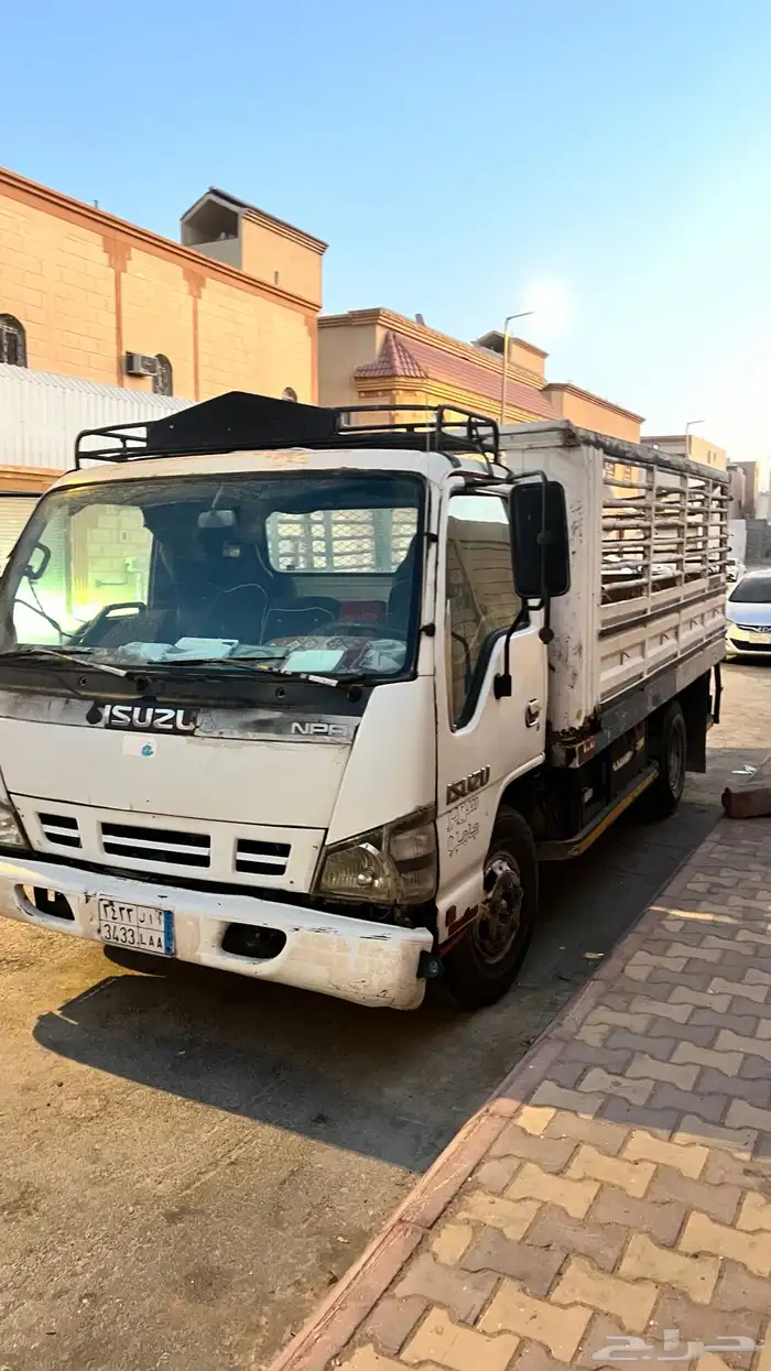 دينا ايسوزو 1