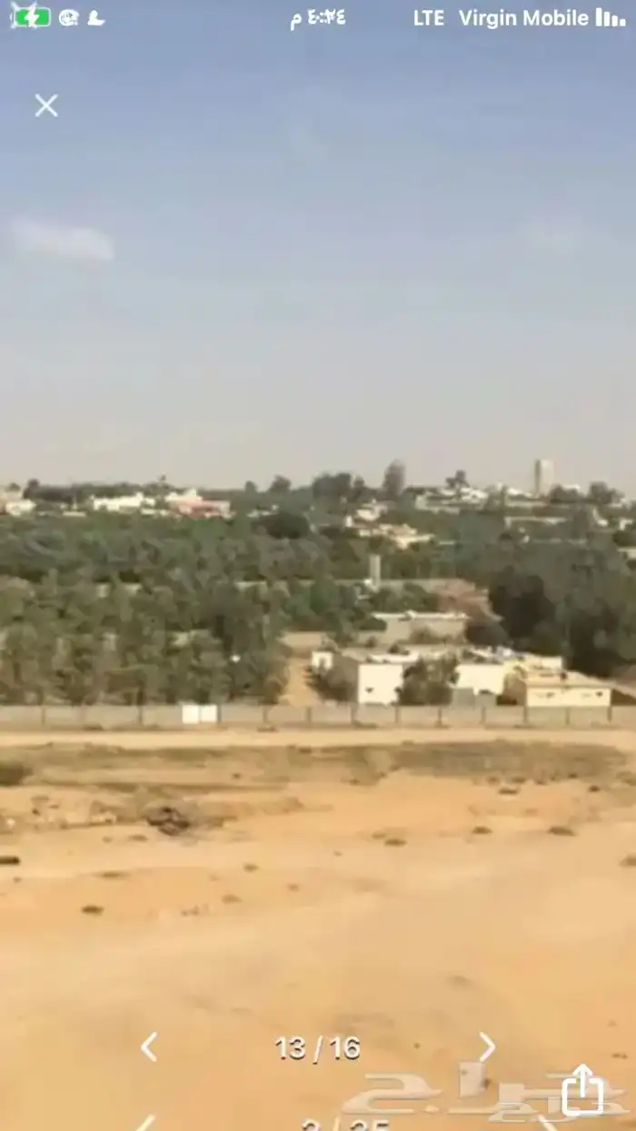 مستثمر مطور اشجار ونخيل 5