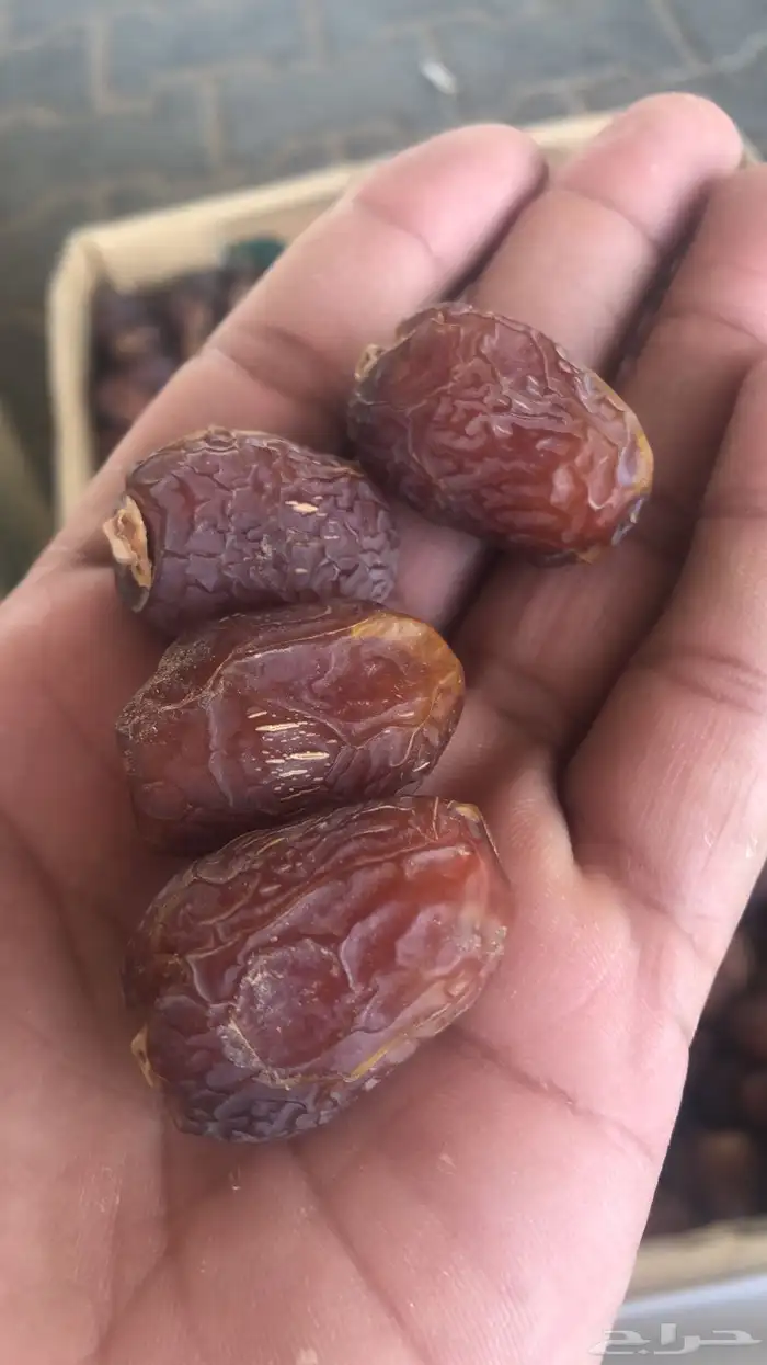 خلاص وادي الدواسر يوجد شحن لمناطق المملكه 4