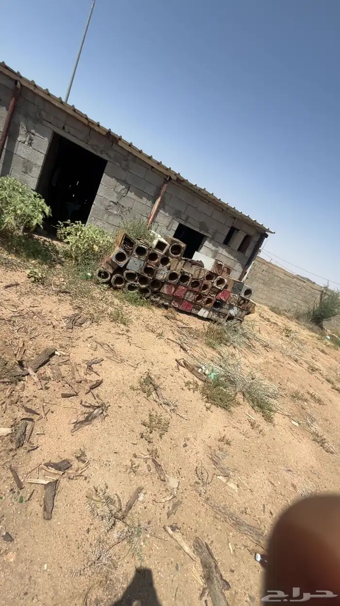 عودان نحل 0