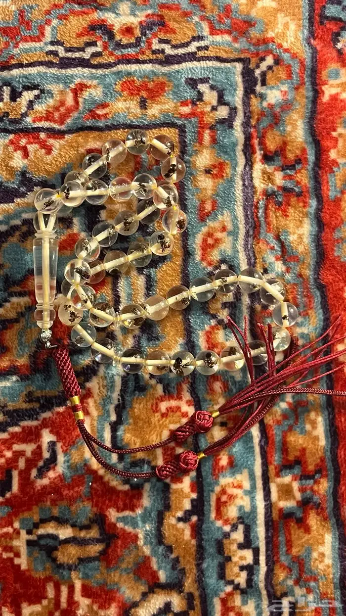 سبح بكلايت ب 40 5