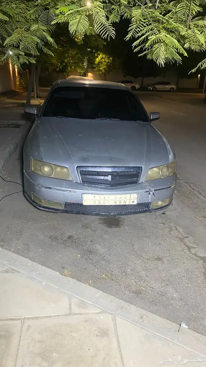 كابرس 2006 15