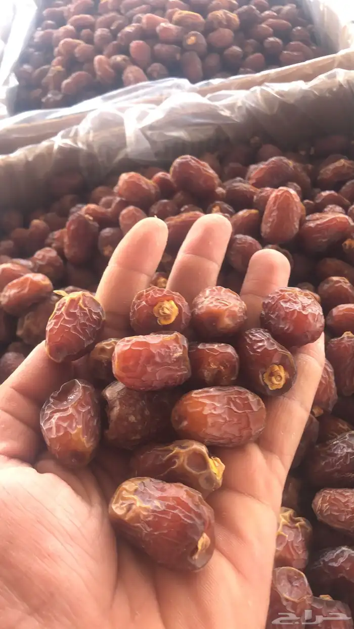 خلاص وادي الدواسر يوجد شحن لمناطق المملكه 3