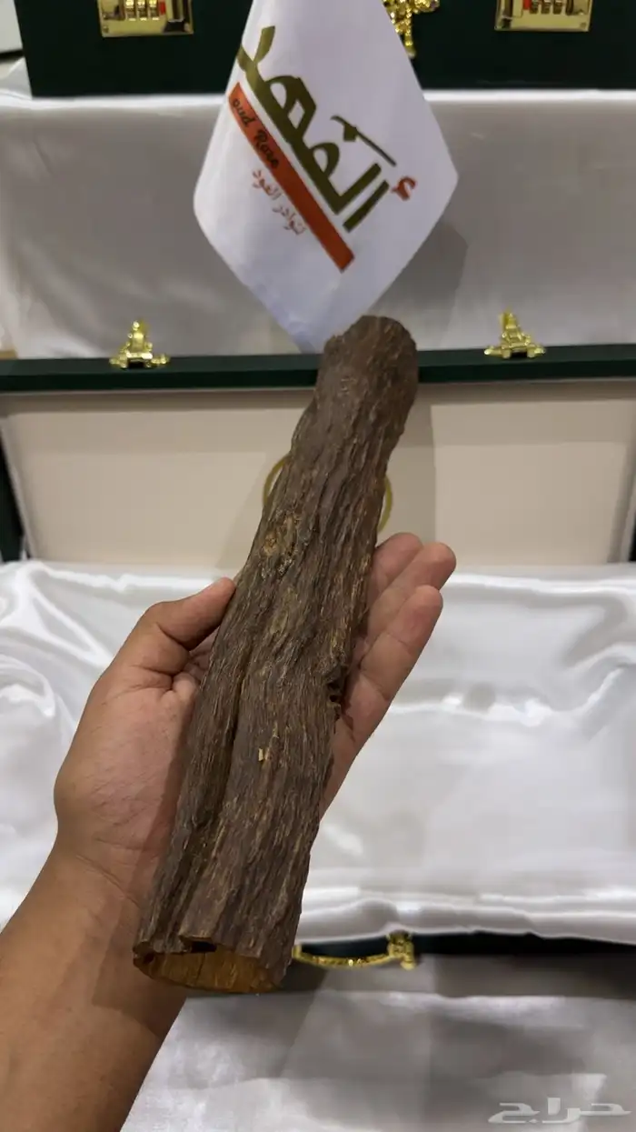 قطعة عود هندي دبل و تربل سوبر . (العرض الأول) 1
