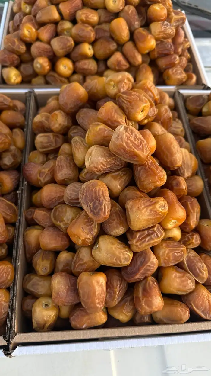 بيع جميع انواع التمور 4
