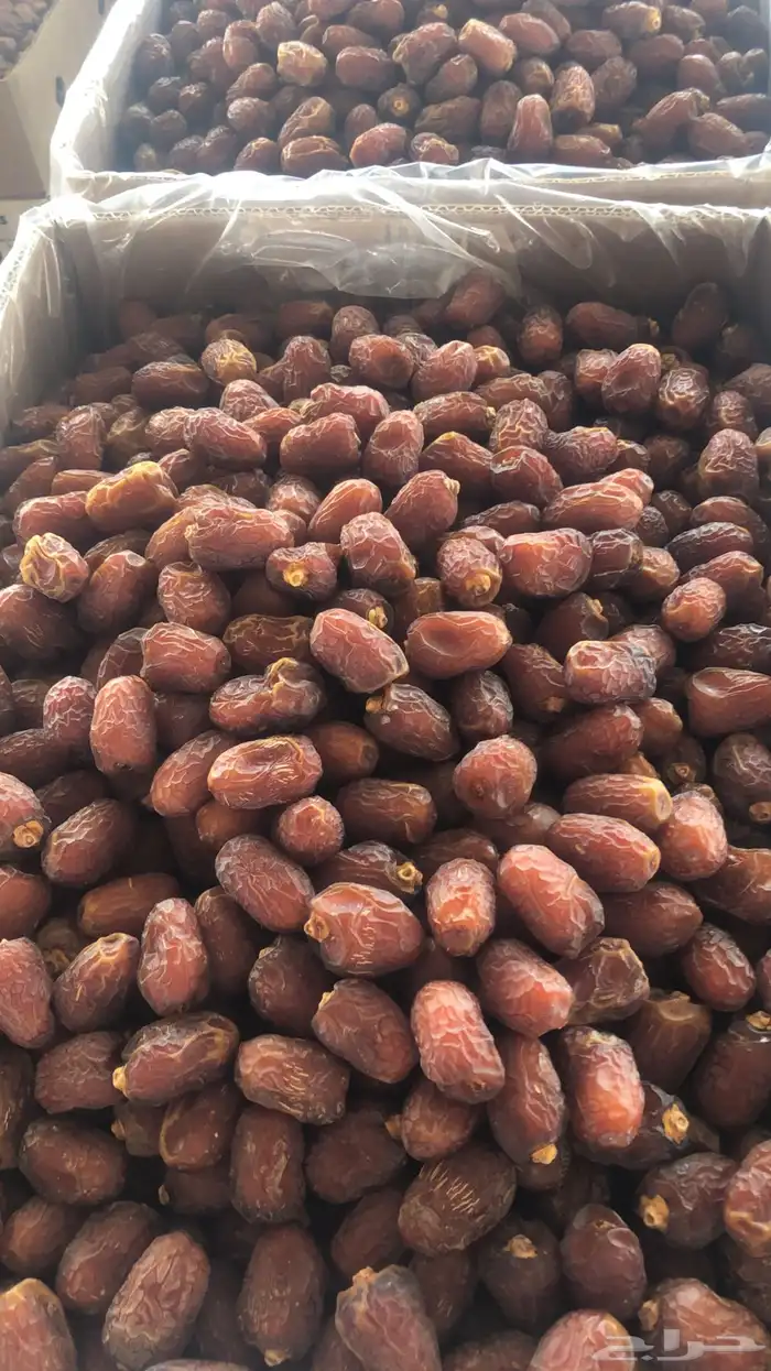 خلاص وادي الدواسر يوجد شحن لمناطق المملكه 6