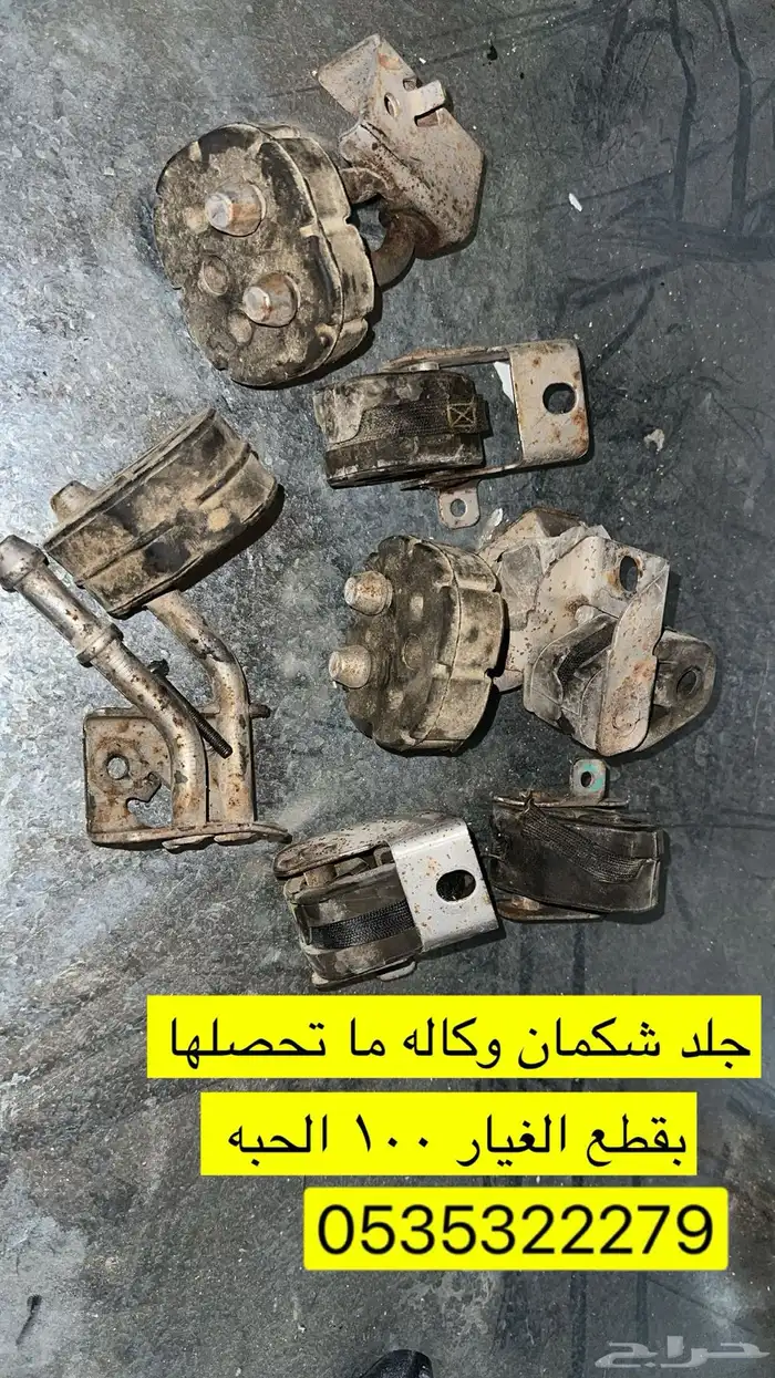 جلد شكمان الحبه 100 ريال 0