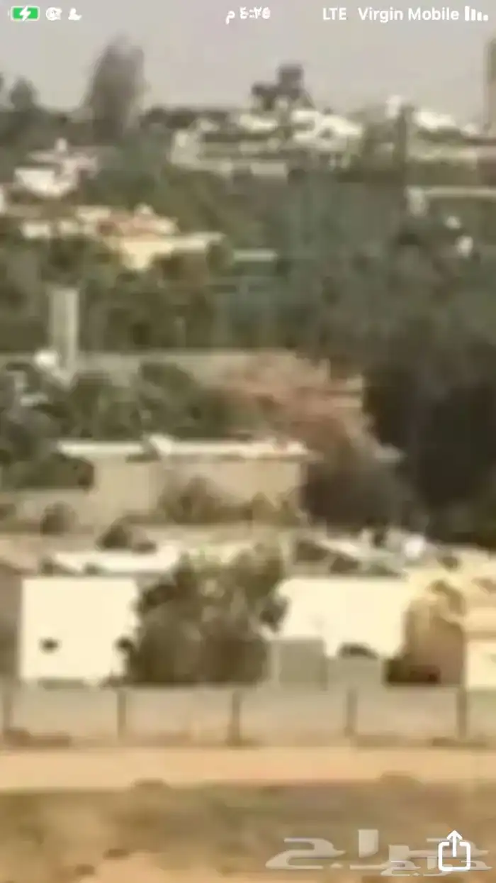 مستثمر مطور اشجار ونخيل 1