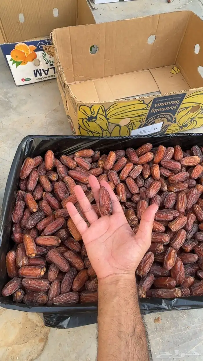 صفري صنف الصنف حبه كبير صافي تم البيع 0