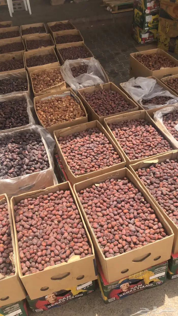 خلاص وادي الدواسر يوجد شحن لمناطق المملكه 8