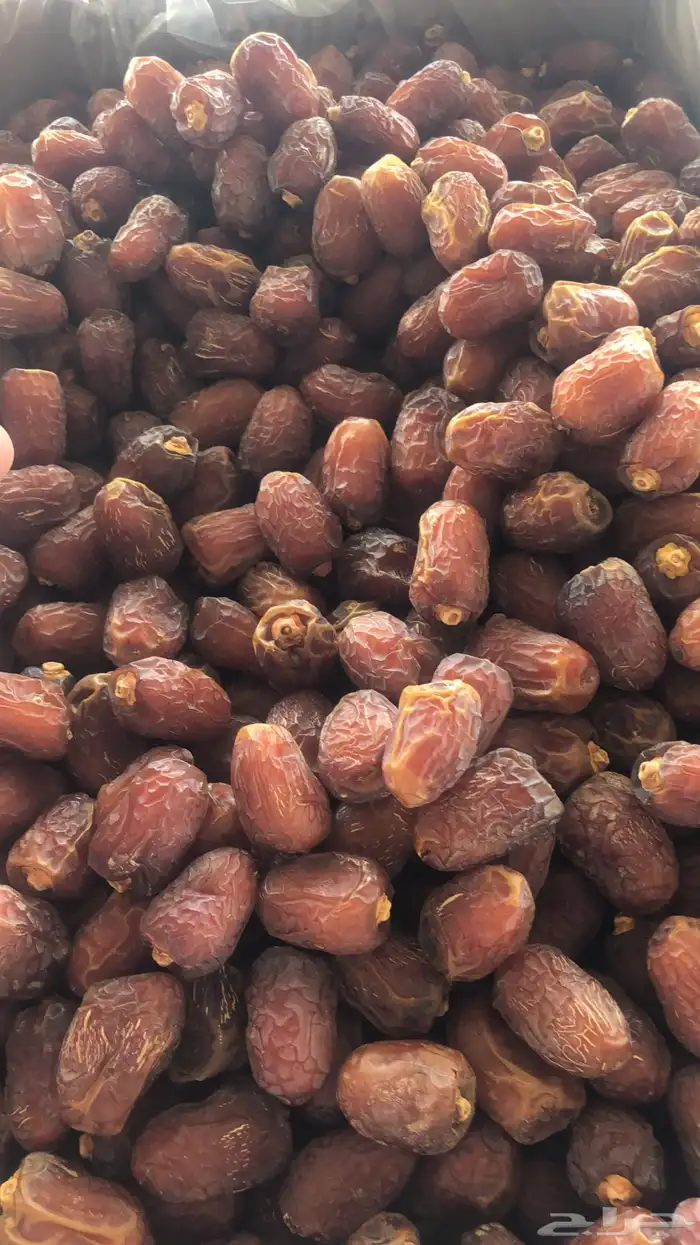 خلاص وادي الدواسر يوجد شحن لمناطق المملكه 5