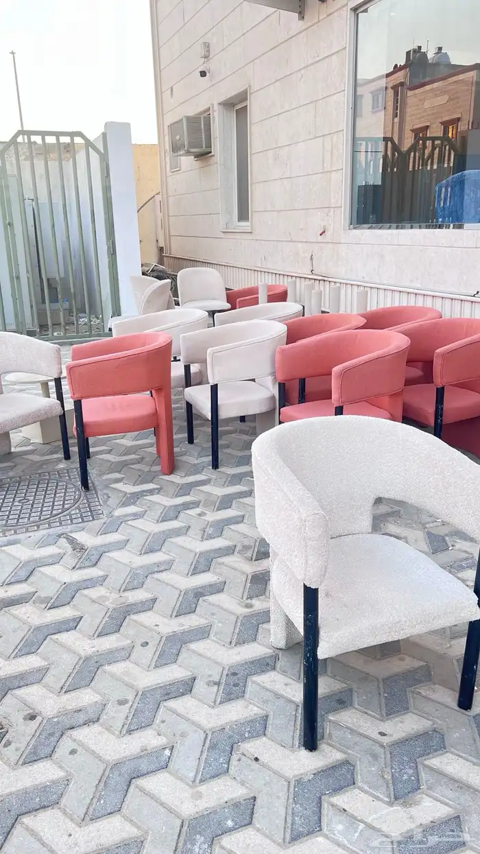كراسي عدد 12 مع طاولات 0