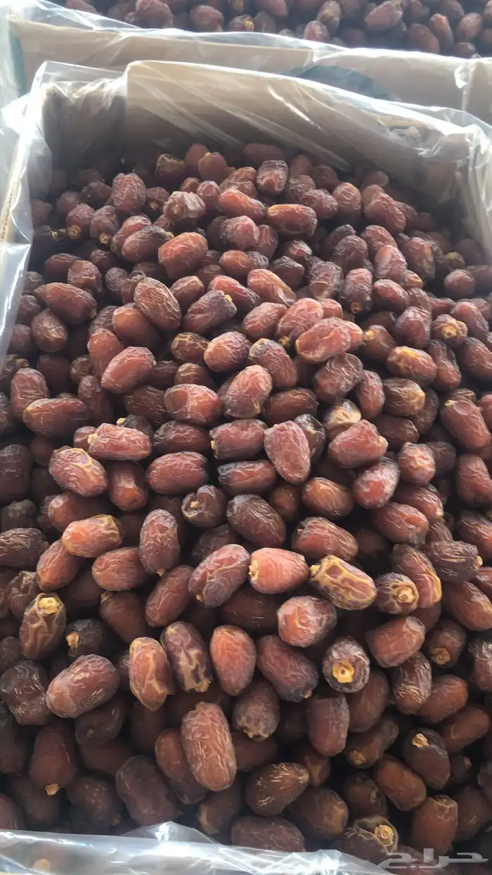 خلاص وادي الدواسر يوجد شحن لمناطق المملكه 7
