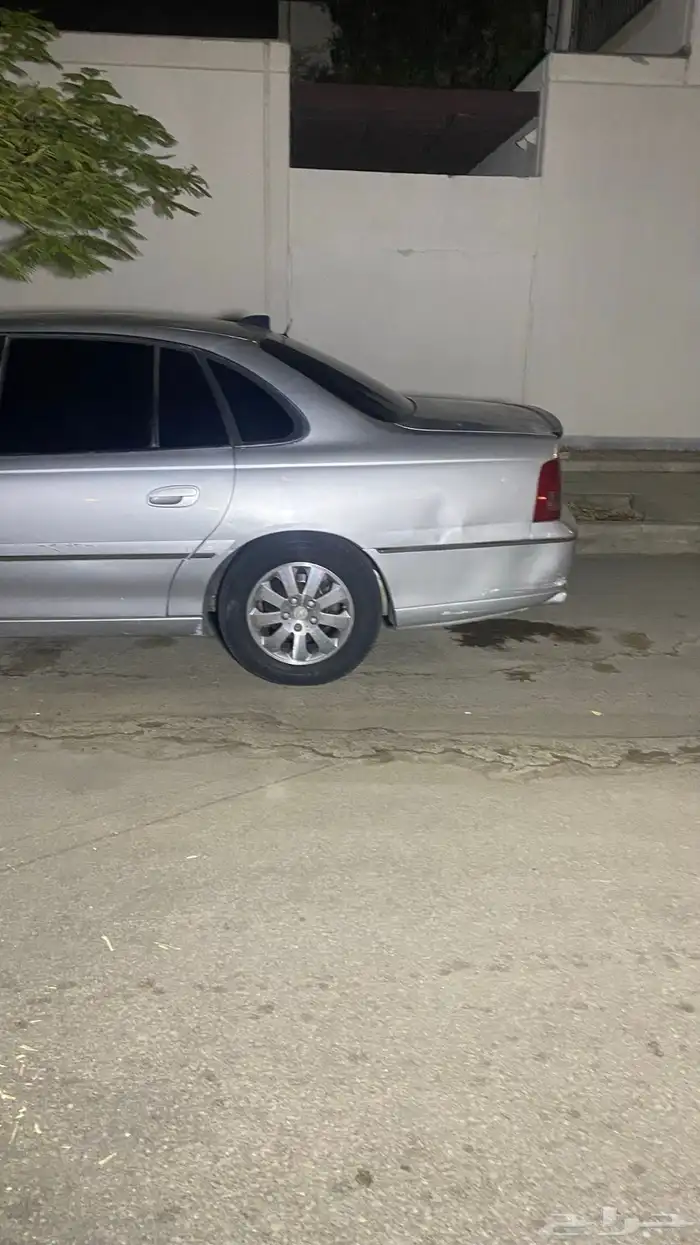كابرس 2006 13