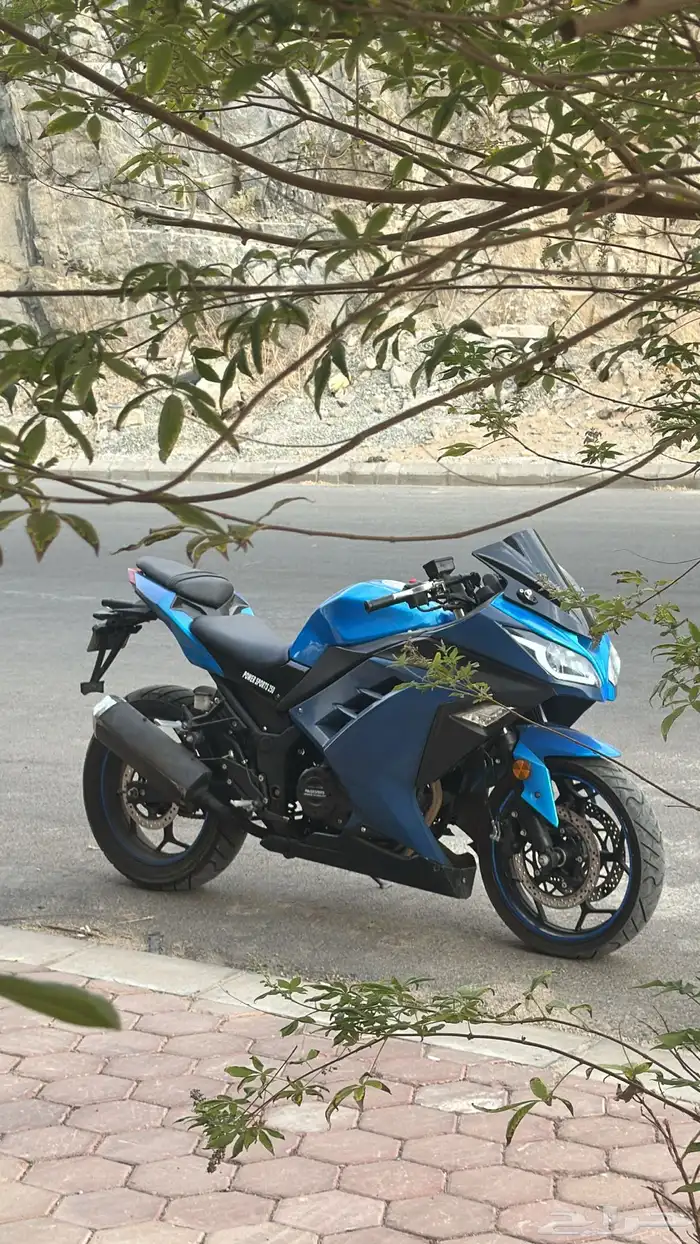 ريس بور سبورت 250 3
