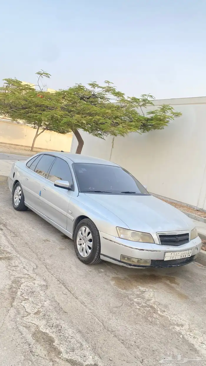 كابرس 2006 5