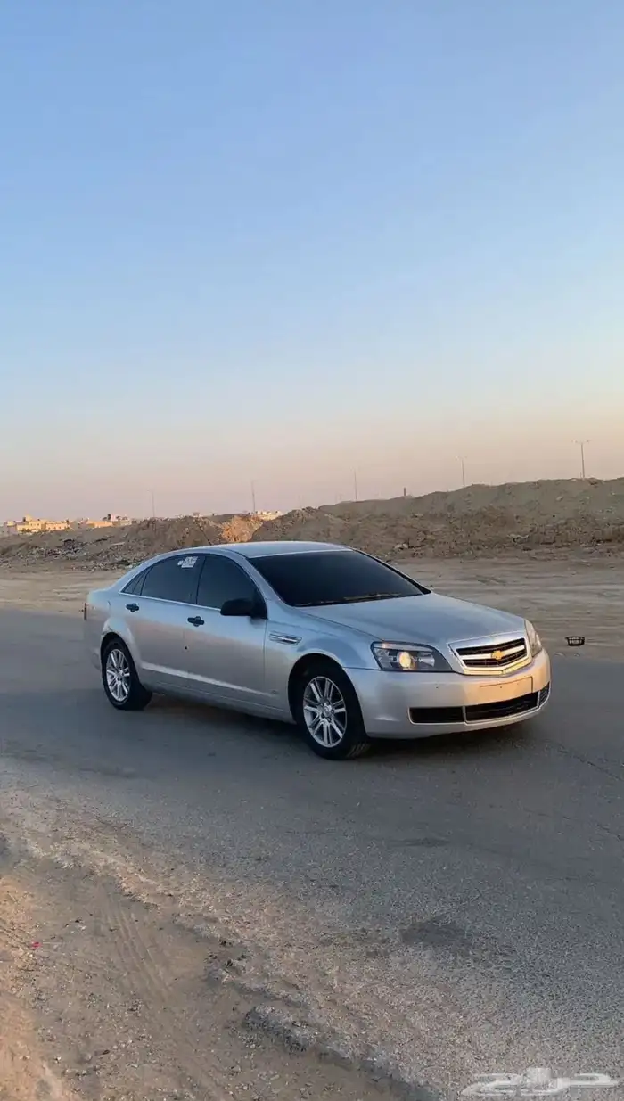 كابرس 2013 4