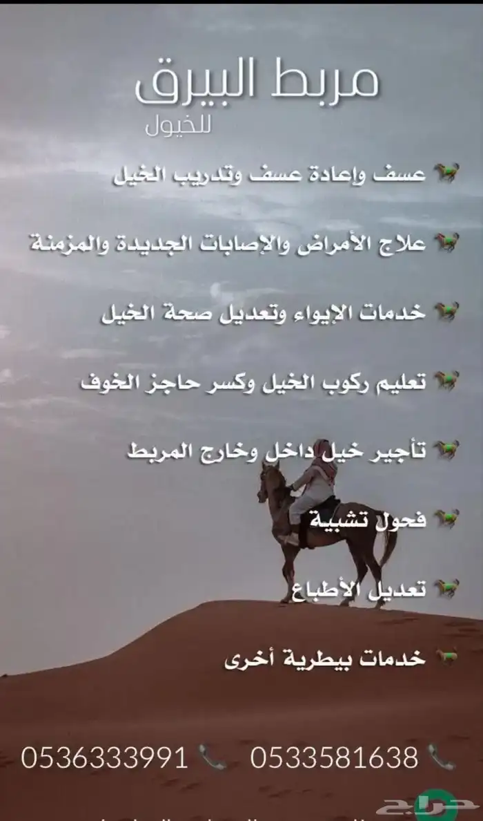 مربط البيرق يوجد لدينا خدمه العسف في كل مكان 0