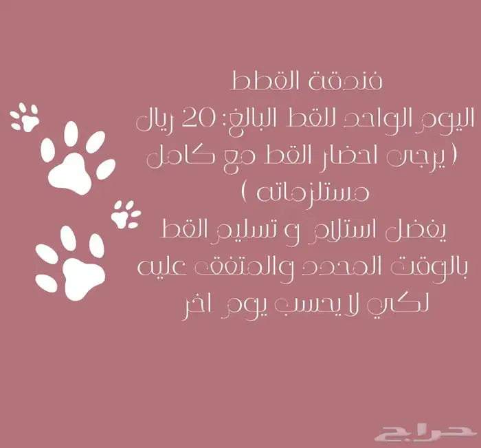 فندقة قطط الحي الهيئة 1