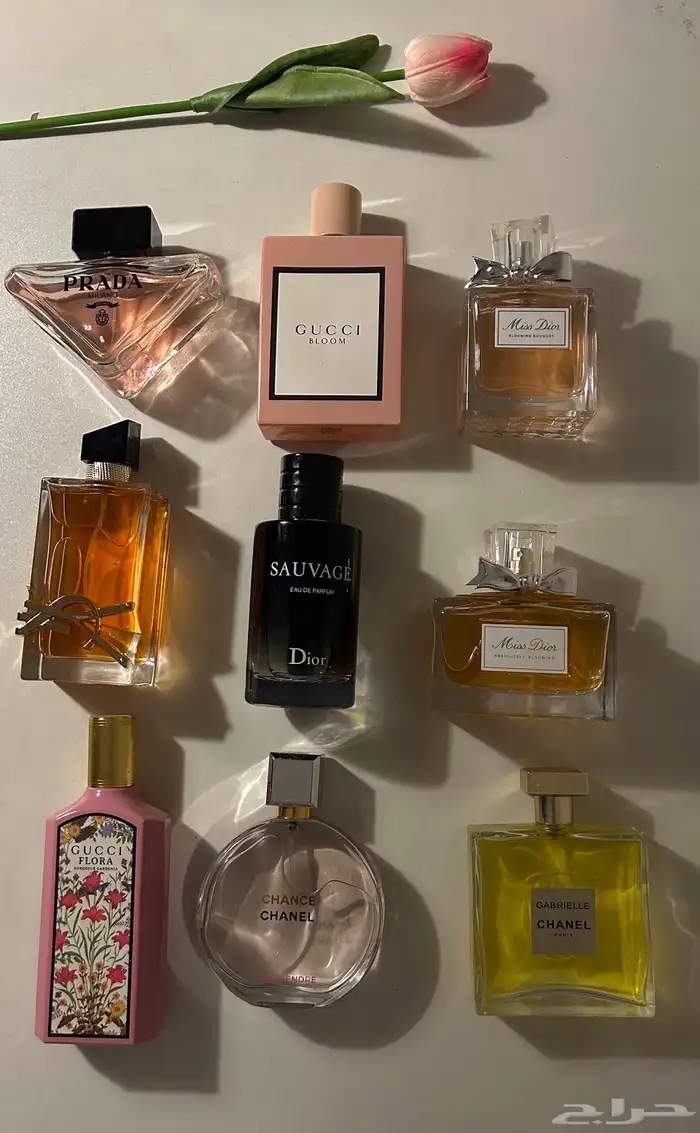 عطور ومكياج براند بسعر يناسب الكل كلهم ب77 7