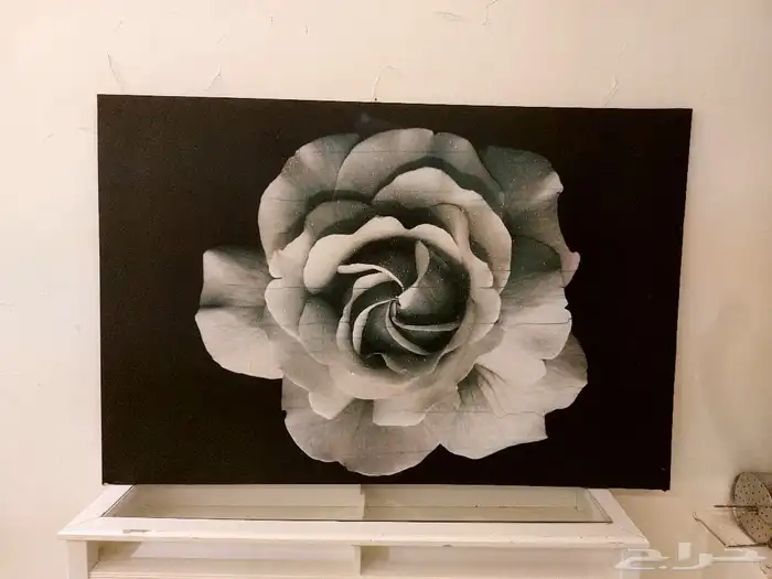 اثاث بيت كل شي فيه منه جديد وشبه جديد ومستعمل 10