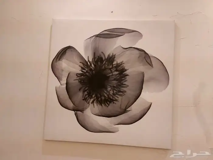 اثاث بيت كل شي فيه منه جديد وشبه جديد ومستعمل 6